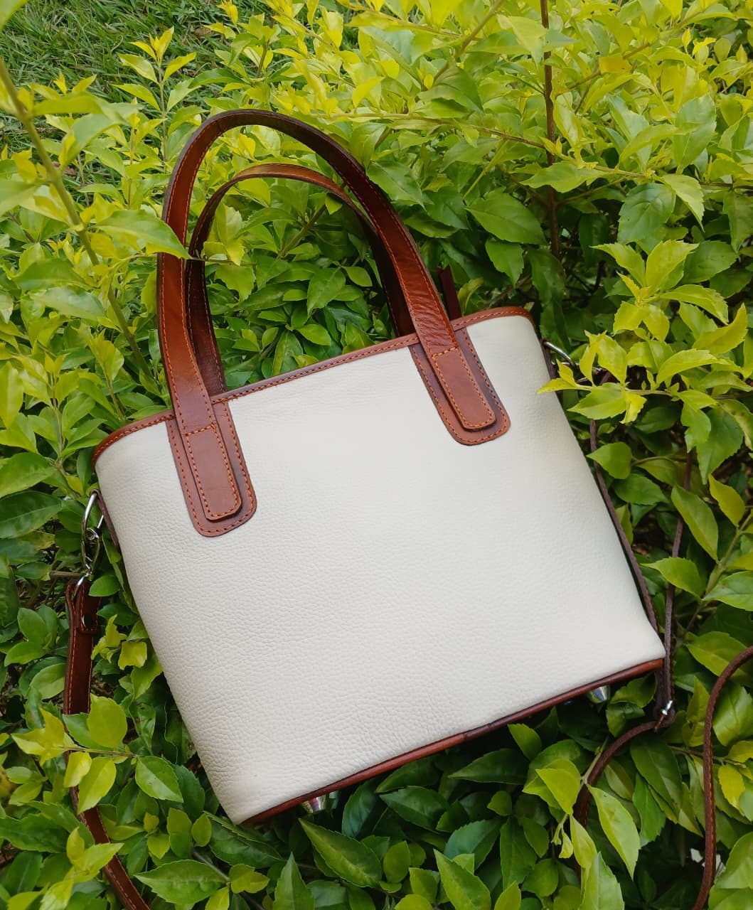 Cartera Lesly