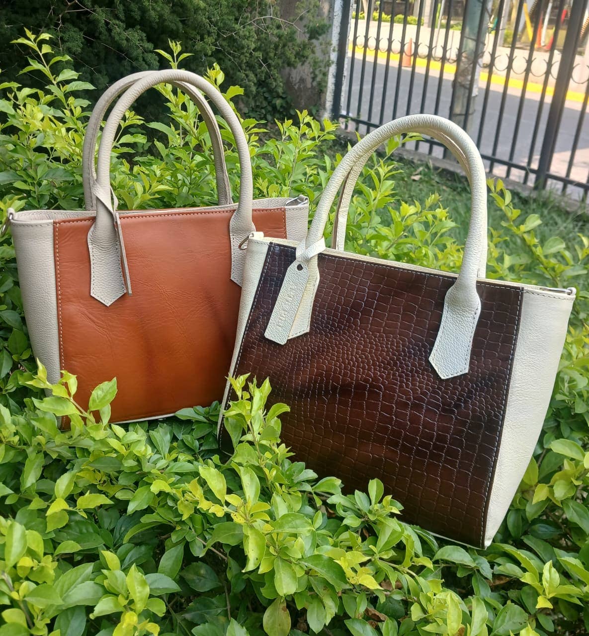 Cartera Ligia